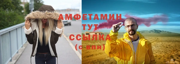 прущие грибы Балахна