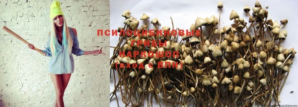 индика Горнозаводск