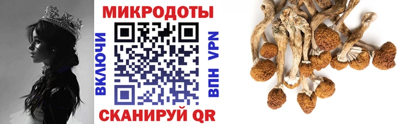 Псилоцибиновые грибы Magic Shrooms  Макаров 